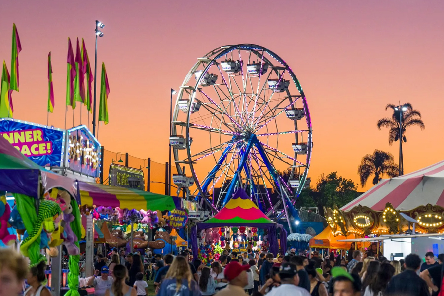 Mechanical carnival rides illuminated at night.