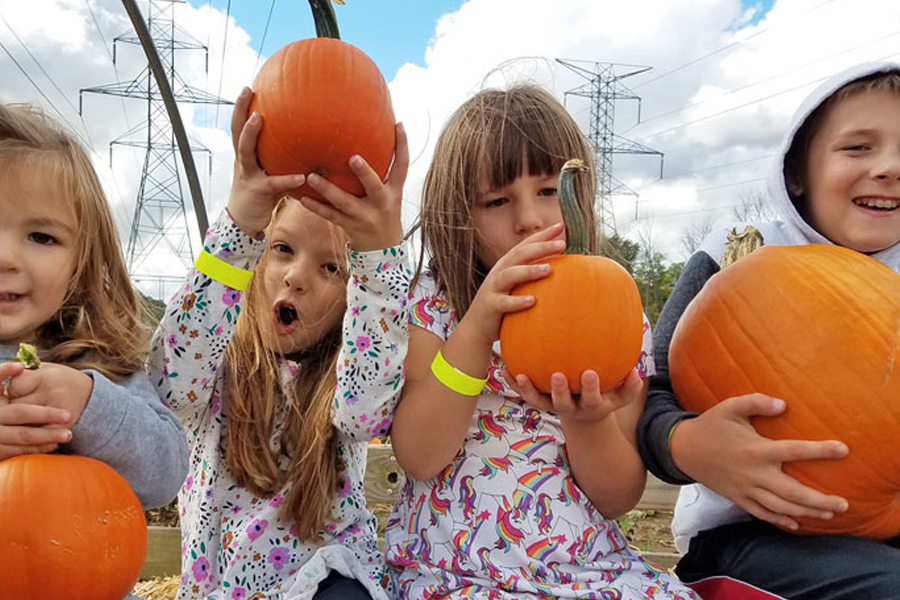 Child having face paint applied at a fall festival.